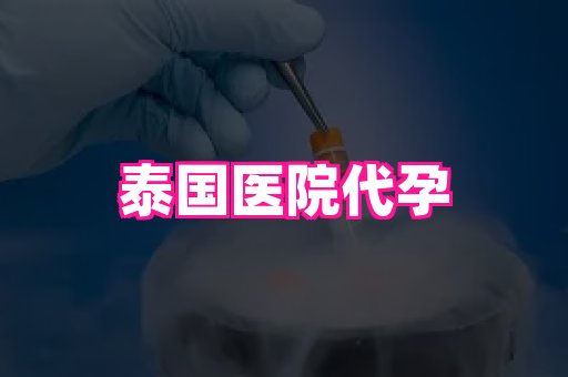 乐乐助孕网 3