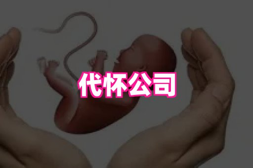 乐乐助孕网 4